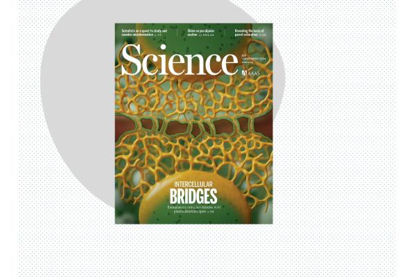 cover of SCIENCE journal